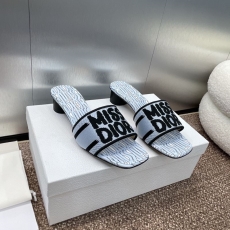 Christian Dior Slippers